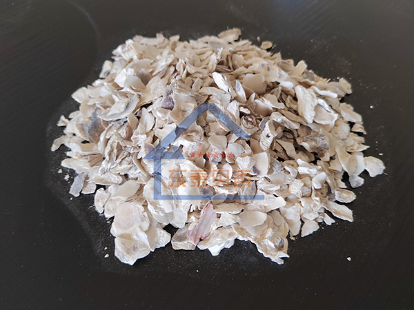 广西牡蛎颗粒0.6-1.2cm